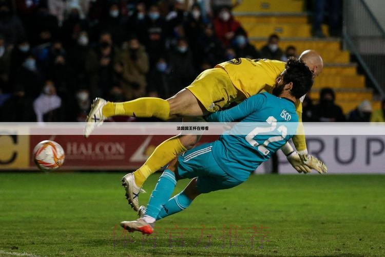 黑白直播世界杯：畅享足坛巅峰精彩赛事