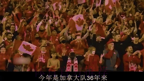 世界杯球队排名动态变化解析